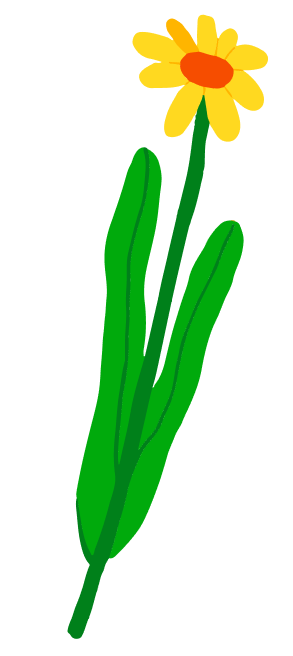 Sunflower illustration
