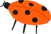 Ladybug illustration